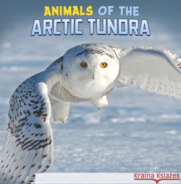 Animals of the Arctic Tundra Martha E. H. Rustad 9781398224834