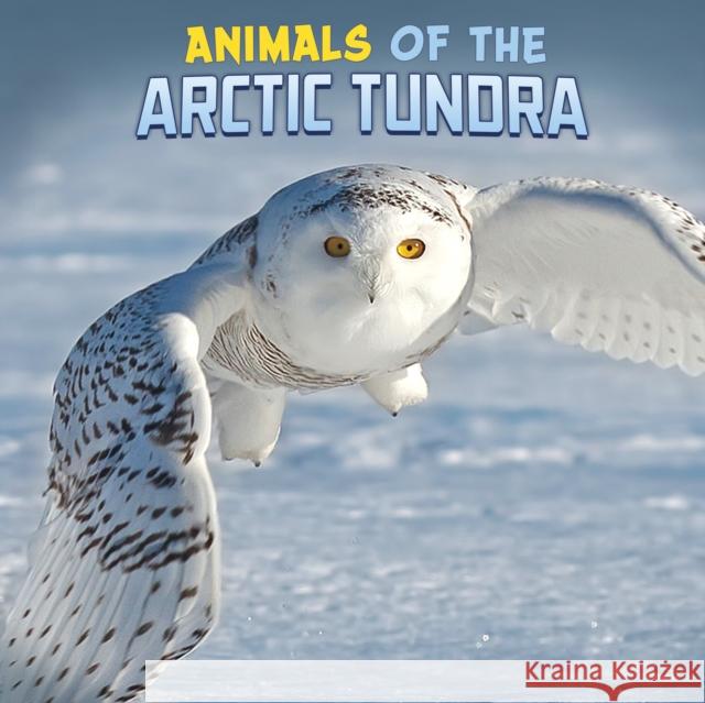 Animals of the Arctic Tundra Martha E. H. Rustad 9781398224841