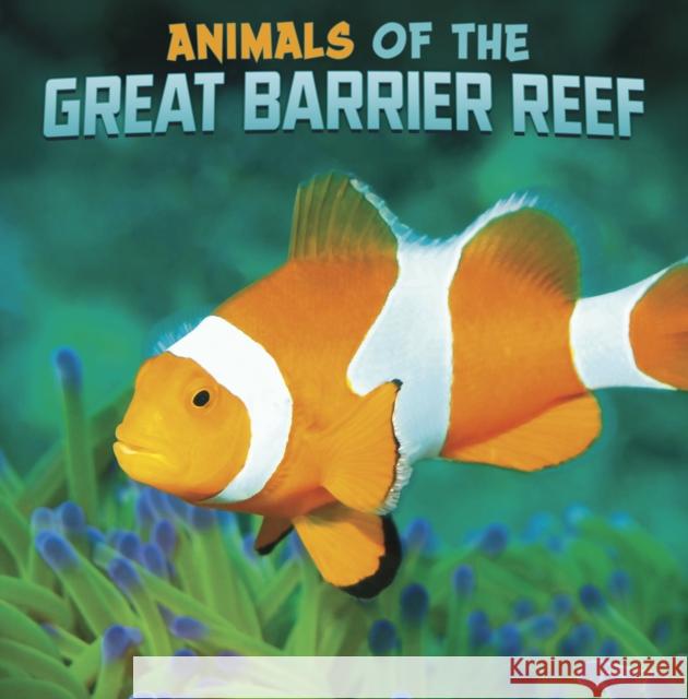 Animals of the Great Barrier Reef Martha E. H. Rustad 9781398224872