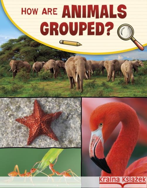 How Are Animals Grouped? Lisa M. Bolt Simons 9781398225251 Capstone Global Library Ltd