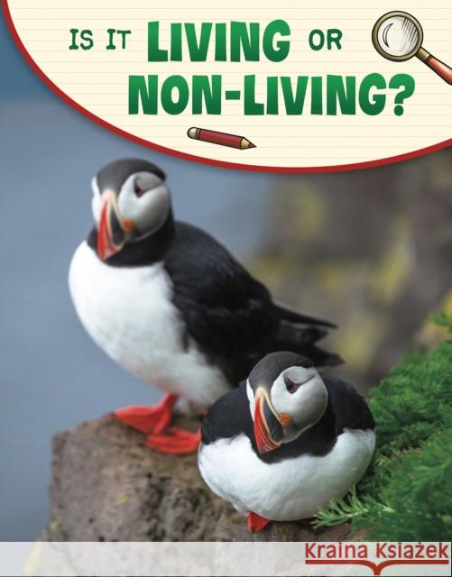 Is It Living or Non-living? Lisa M. Bolt Simons 9781398225381 Capstone Global Library Ltd