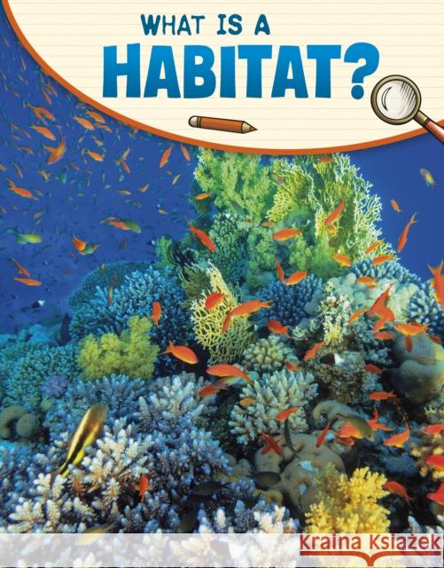 What Is a Habitat? Lisa M. Bolt Simons 9781398225534