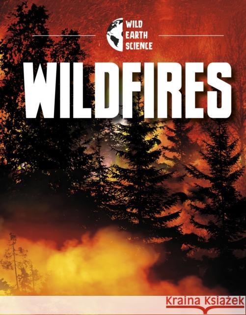 Wildfires JACLYN JAYCOX 9781398240995