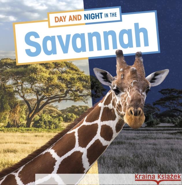 Day and Night in the Savannah Mary Boone 9781398241886 Capstone Global Library Ltd