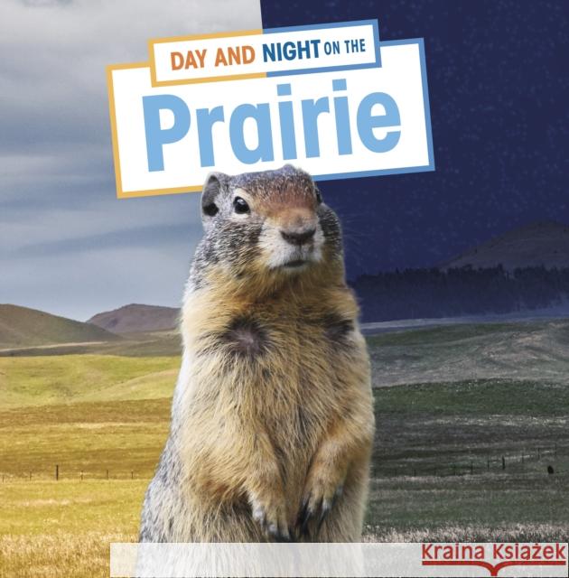 Day and Night on the Prairie ELLEN LABRECQUE 9781398241923