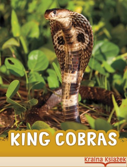 King Cobras Jaclyn Jaycox 9781398243996 Capstone Global Library Ltd