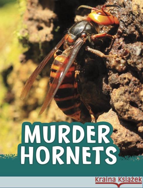 Murder Hornets Jaclyn Jaycox 9781398244030 Capstone Global Library Ltd