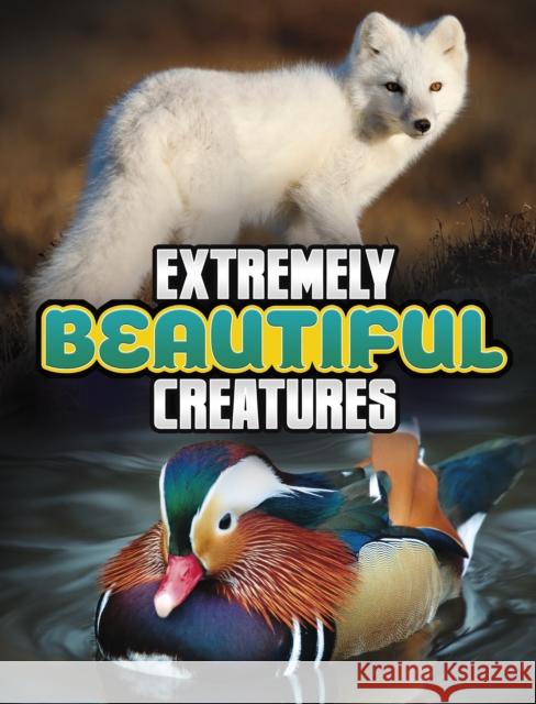 Extremely Beautiful Creatures Megan Cooley Peterson 9781398244795 Capstone Global Library Ltd