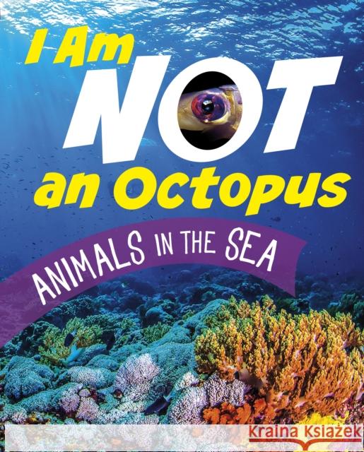 I Am Not an Octopus: Animals in the Ocean Mari Bolte 9781398246157 Capstone Global Library Ltd