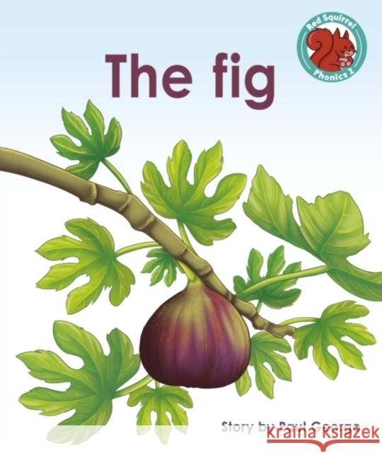 The Fig Paul George 9781398246508