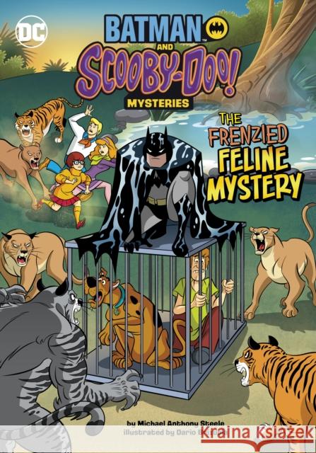 The Frenzied Feline Mystery Michael  Anthony Steele, Dario Brizuela 9781398247475 Capstone Global Library Ltd