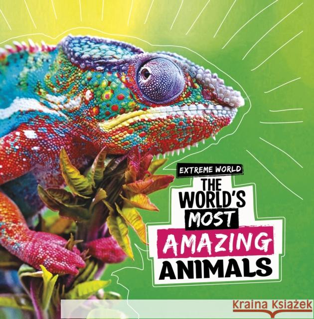 The World's Most Amazing Animals Cari Meister 9781398247628