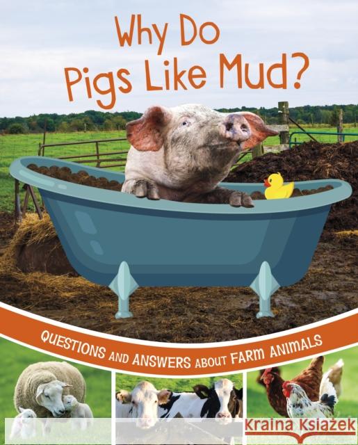 Why Do Pigs Like Mud?: Questions and Answers About Farm Animals Katherine Rawson 9781398248540 Capstone Global Library Ltd