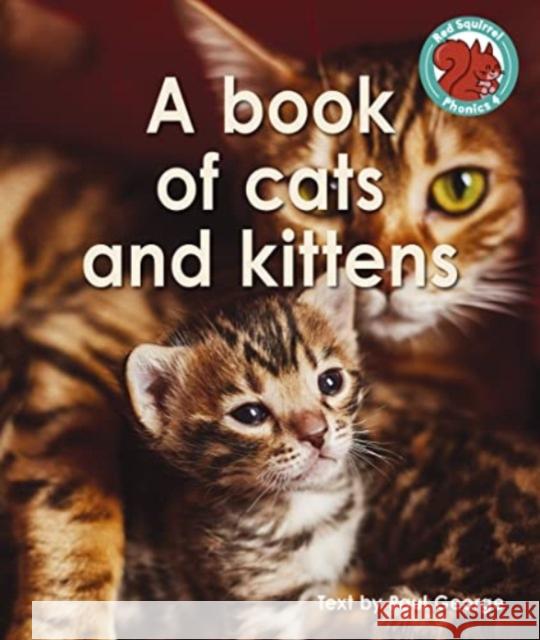 A book of cats and kittens Paul George 9781398249462