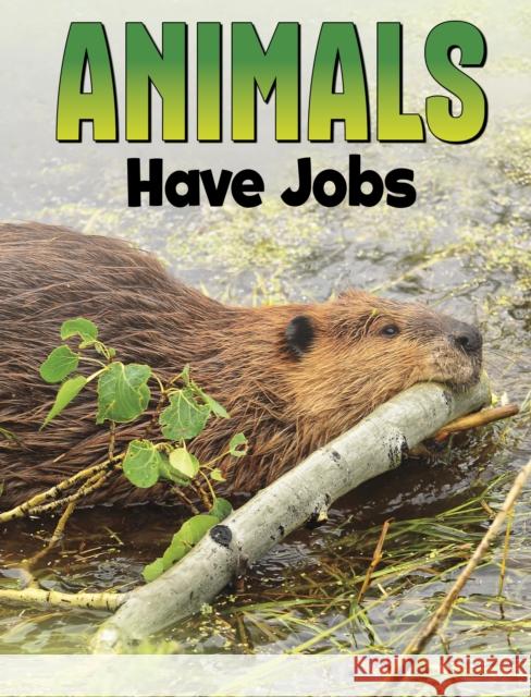 Animals Have Jobs Nadia Ali 9781398250192 Capstone Global Library Ltd