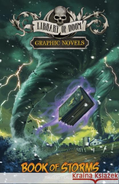 Book of Storms: A Graphic Novel Daniel Montgomery Cole Mauleon 9781398250765 Capstone Global Library Ltd