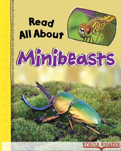 Read All About Minibeasts Mae Respicio 9781398251328 Capstone Global Library Ltd