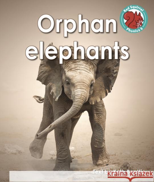 Orphan elephants Kath Beattie 9781398252318