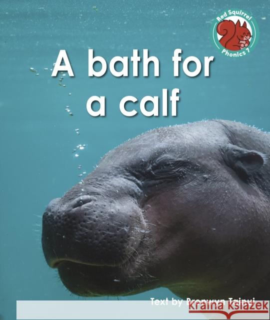 A bath for a calf Bronwyn Tainui 9781398252394 Capstone Global Library Ltd