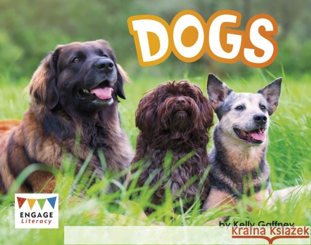 Dogs Kelly Gaffney 9781398254473 Capstone Global Library Ltd