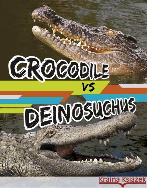 Crocodile vs Deinosuchus Charles C. Hofer 9781398256040 Capstone Global Library Ltd