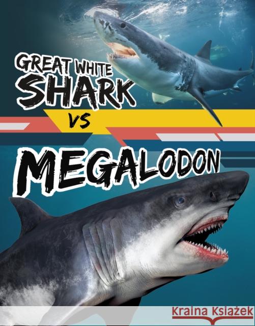 Great White Shark vs Megalodon Charles C. Hofer 9781398256057 Capstone Global Library Ltd