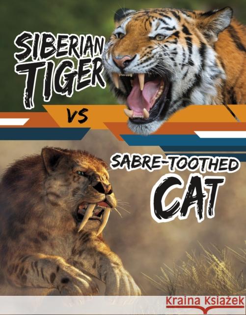 Siberian Tiger vs Sabre-Toothed Cat Charles C. Hofer 9781398256071 Capstone Global Library Ltd