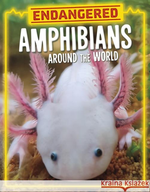 Endangered Amphibians Around the World Lisa J. Amstutz 9781398258471