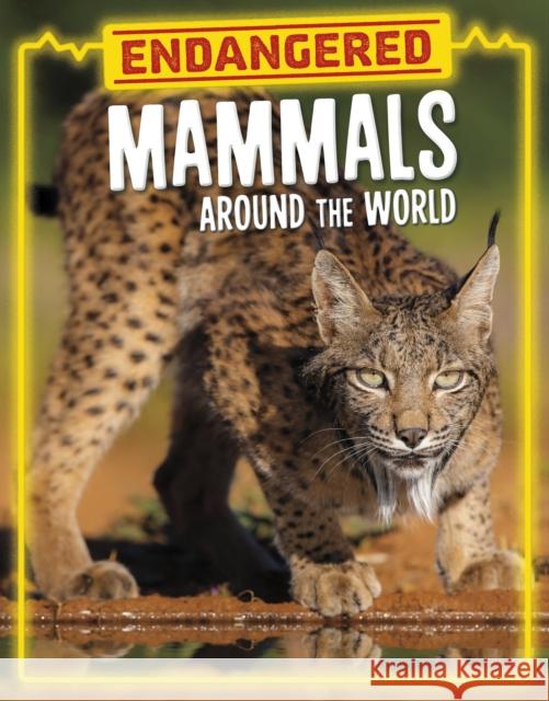Endangered Mammals Around the World Golriz Golkar 9781398258518 Capstone Global Library Ltd