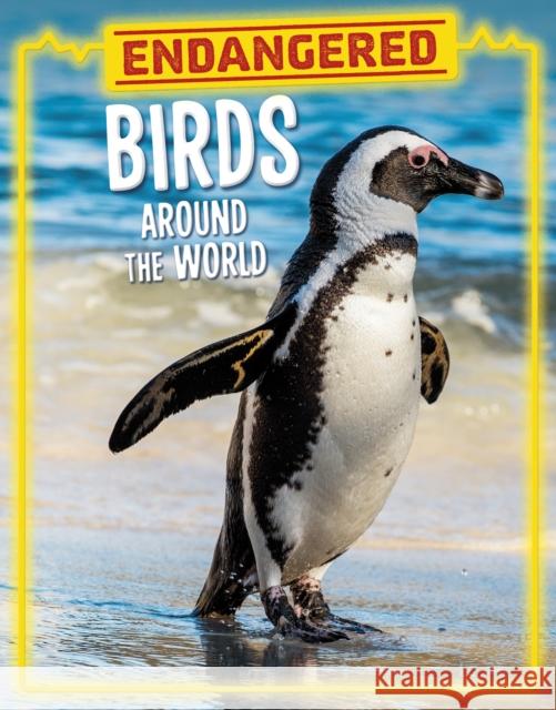 Endangered Birds Around the World Lisa J. Amstutz 9781398258532 Capstone Global Library Ltd