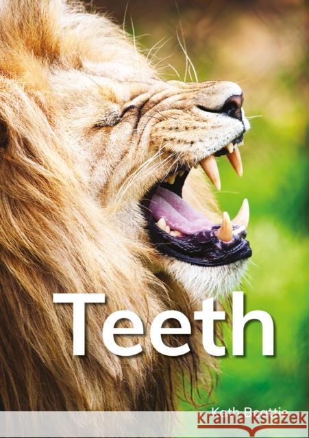 Teeth Kath Beattie 9781398260184