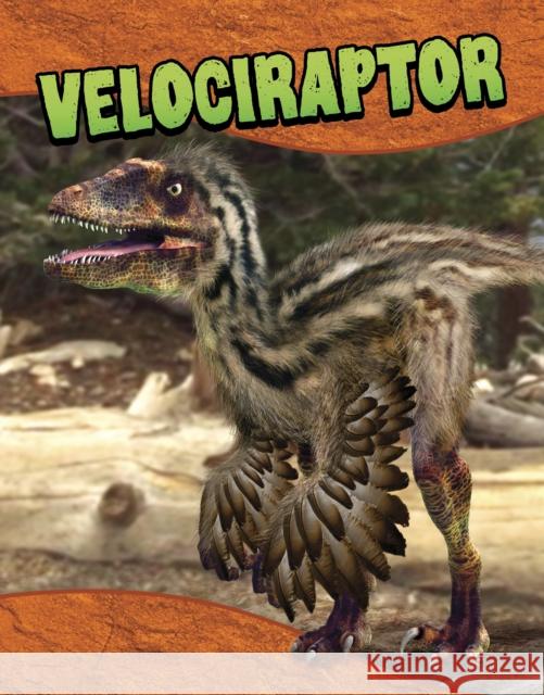 Velociraptor Laura K. Murray 9781398260368