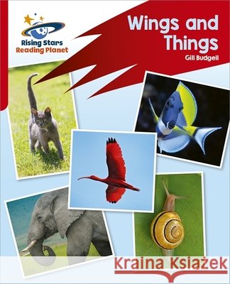 Reading Planet: Rocket Phonics – Target Practice – Wings and Things – Red B Gill Budgell 9781398325968
