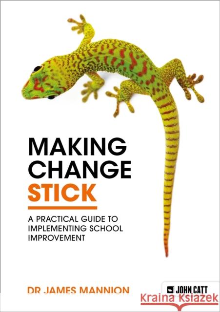 Making Change Stick: A Practical Guide to Implementing School Improvement James Mannion 9781398387485 Hodder Education