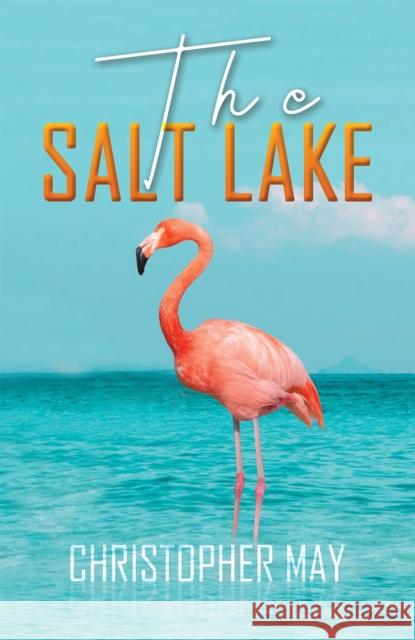 The Salt Lake Christopher May 9781398413719 Austin Macauley Publishers
