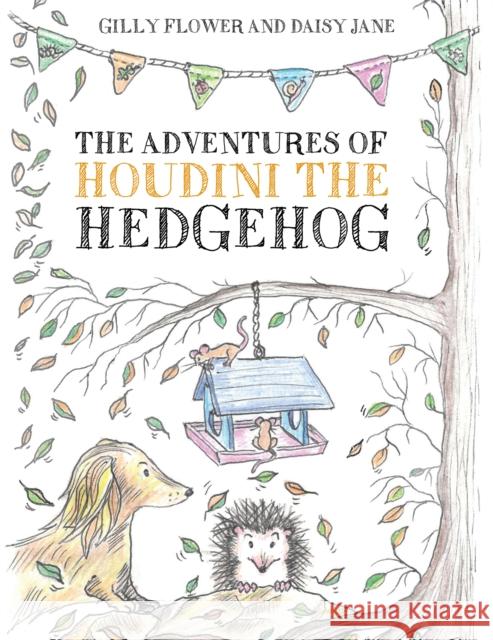 The Adventures of Houdini the Hedgehog Daisy Jane, Gilly Flower 9781398425217 Austin Macauley Publishers