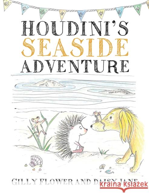 Houdini's Seaside Adventure Gilly Flower, Daisy Jane 9781398425460 Austin Macauley Publishers