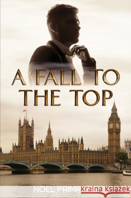 A Fall to the Top Noel Primrose 9781398440241