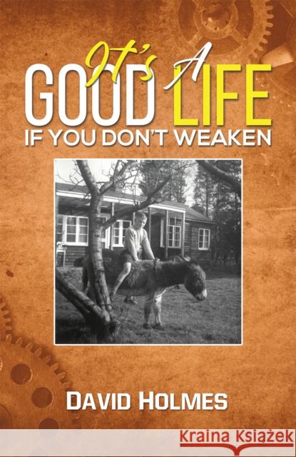 It's a Good Life If You Don't Weaken David Holmes 9781398442979 Austin Macauley Publishers