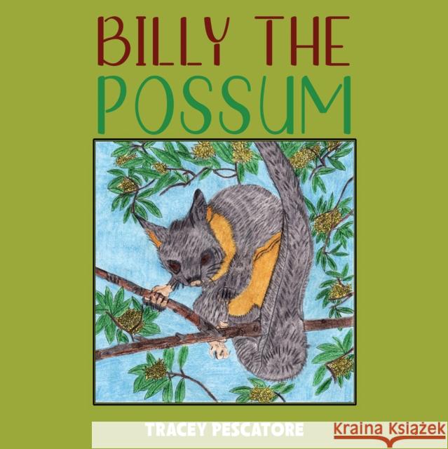 Billy the Possum Tracey Pescatore 9781398444669 Austin Macauley