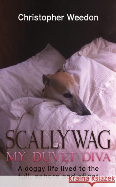 Scallywag - My Duvet Diva: A doggy life lived to the full, ashore and afloat Christopher Weedon 9781398453630 Austin Macauley Publishers