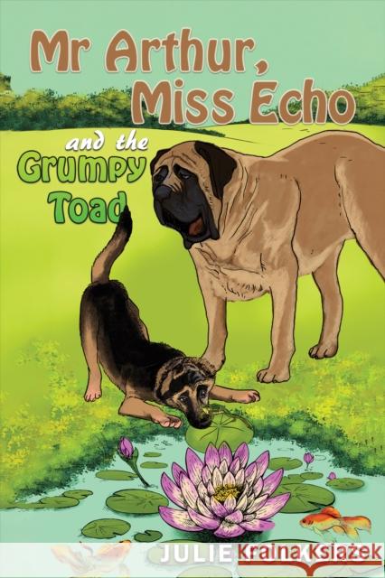 Mr Arthur, Miss Echo and the Grumpy Toad Julie Folkers 9781398470033