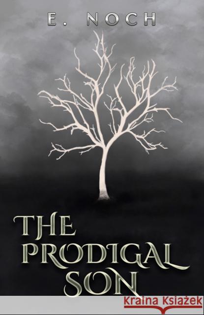 The Prodigal Son E Noch 9781398496903 Austin Macauley Publishers