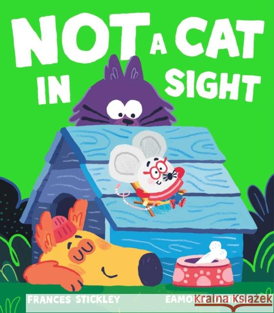 Not a Cat In Sight Frances Stickley 9781398508941 Simon & Schuster Ltd