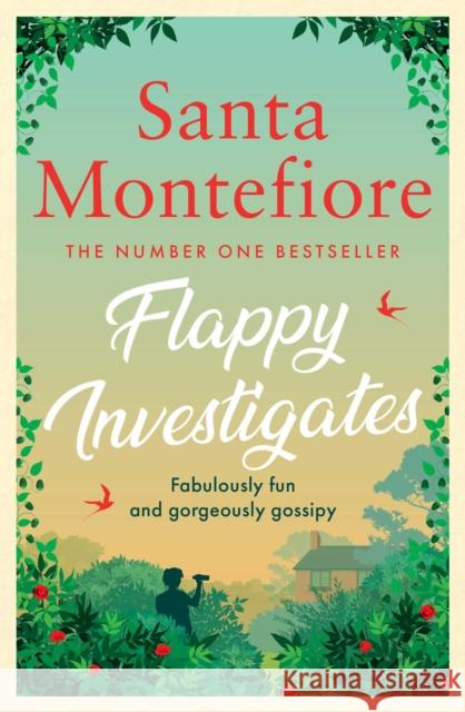 Flappy Investigates Santa Montefiore 9781398510746