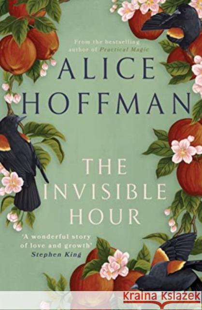 The Invisible Hour Alice Hoffman 9781398526198