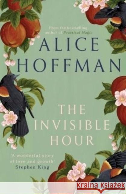 The Invisible Hour Alice Hoffman 9781398526211