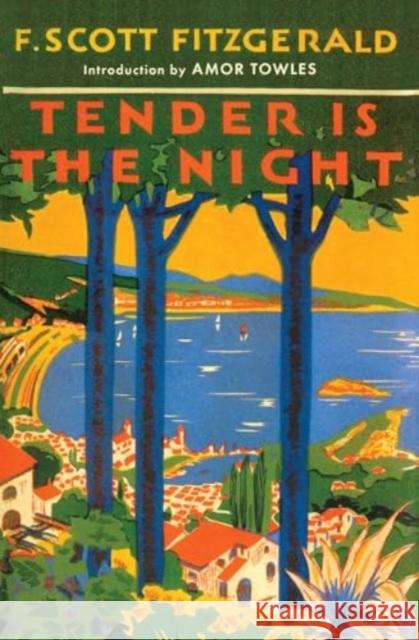 Tender is the Night F. Scott Fitzgerald 9781398539891