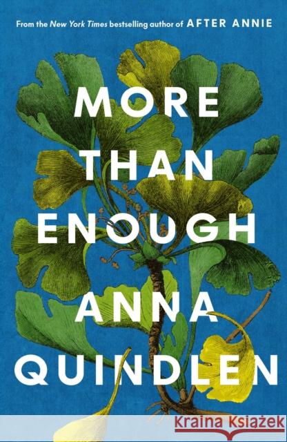 More Than Enough Anna Quindlen 9781398555174