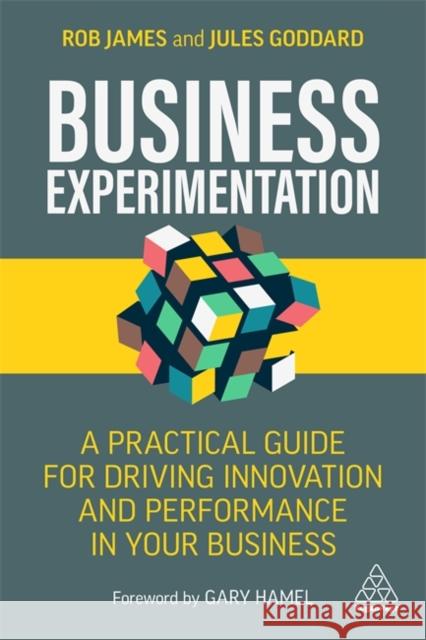 Business Experimentation: A Practical Guide for Driving Innovation and Performance in Your Business James, Rob 9781398601703 Kogan Page